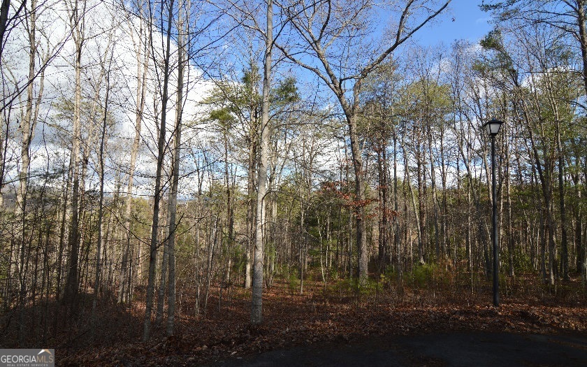 Lot 26 Coosa Bend Property Photo 4