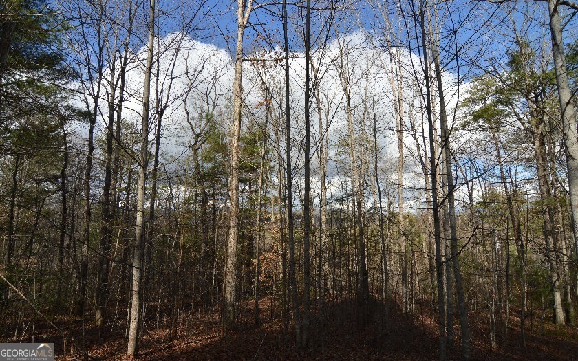 Lot 26 Coosa Bend Property Photo 5