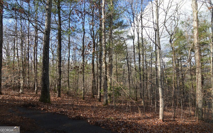 Lot 26 Coosa Bend Property Photo 6