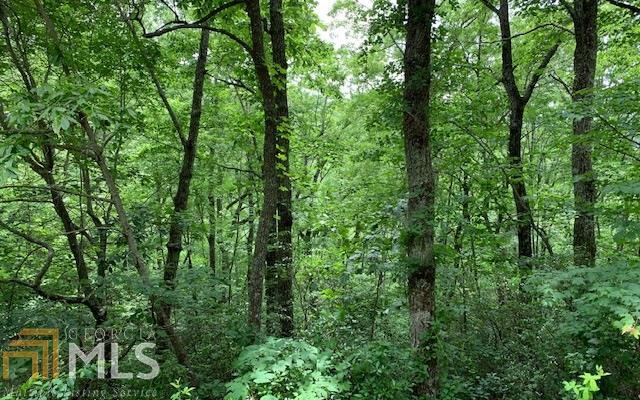 LOT 50A Eagles View Property Photo 1