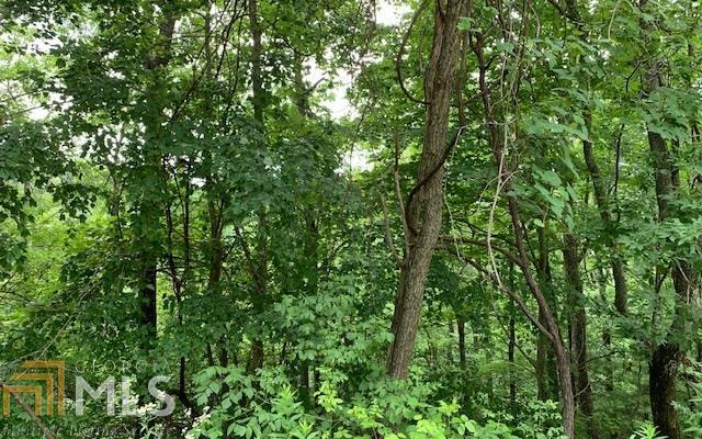 Lot 50a Eagles View Property Photo 9