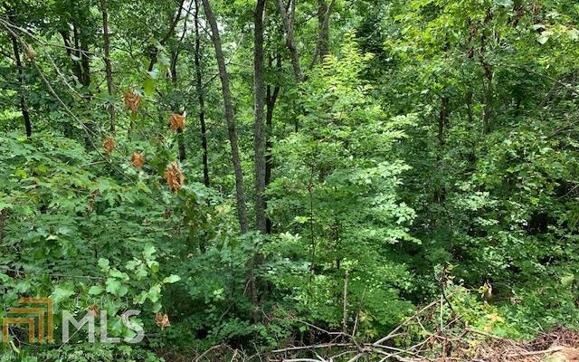 Lot 50a Eagles View Property Photo 15