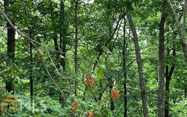 Lot 50a Eagles View Property Photo 16