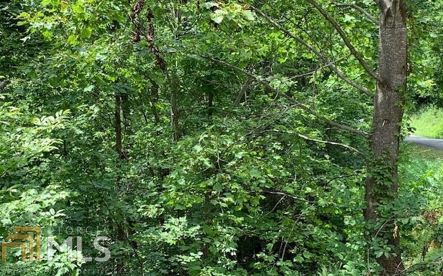 Lot 50a Eagles View Property Photo 17
