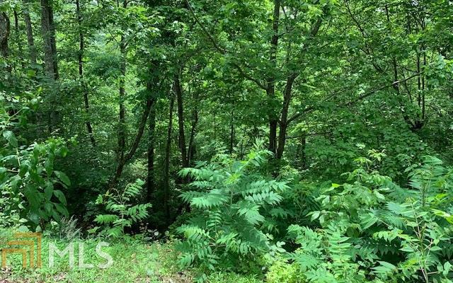 Lot 50a Eagles View Property Photo 19