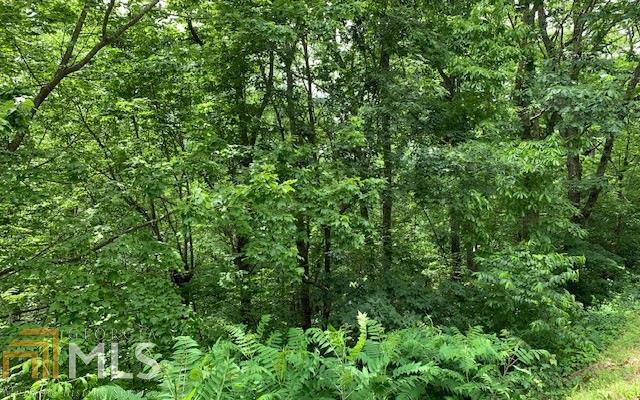 Lot 50a Eagles View Property Photo 20