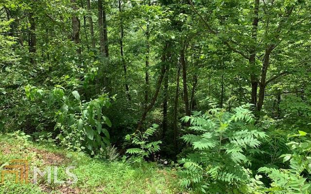 Lot 50a Eagles View Property Photo 21