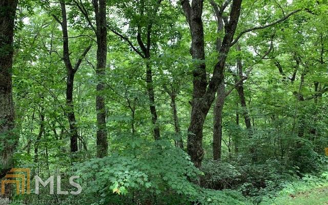 Lot 50a Eagles View Property Photo 22