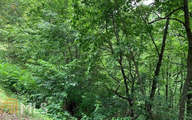 Lot 50a Eagles View Property Photo 23