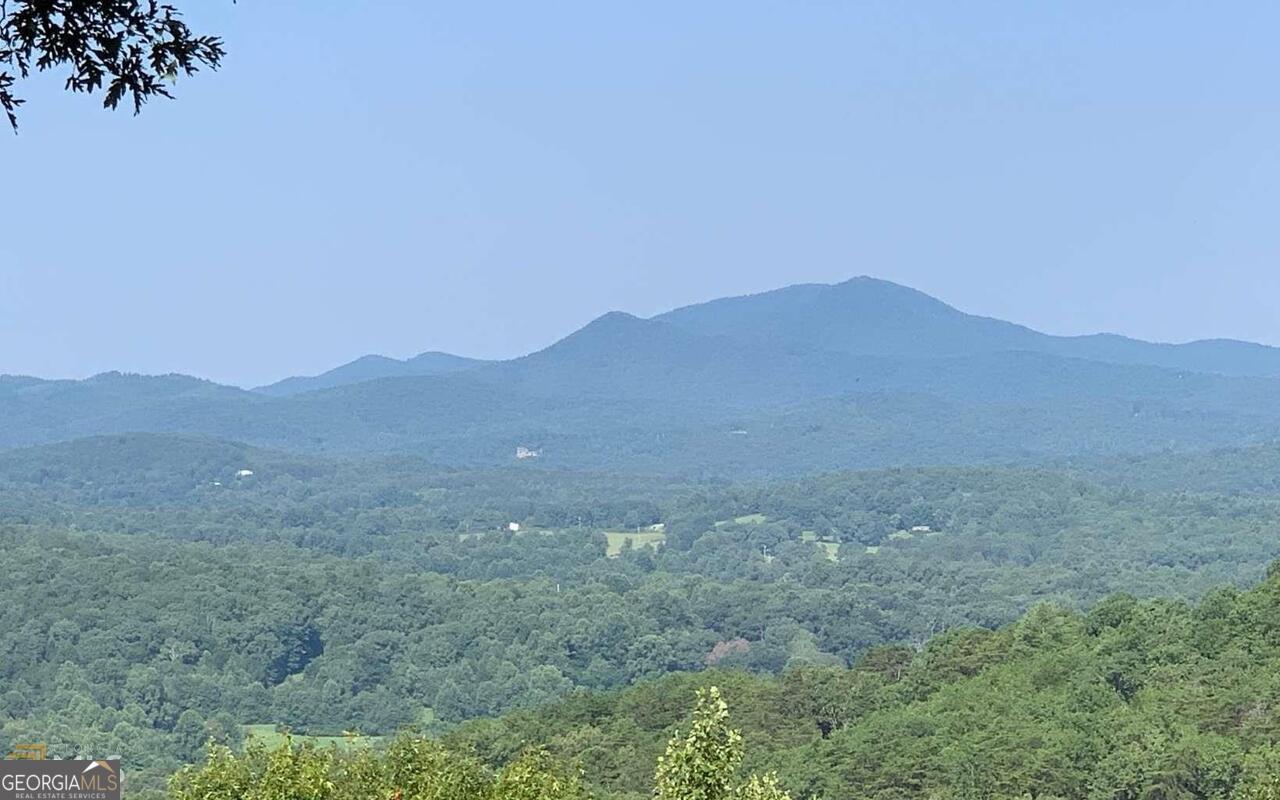 Lot 7 Golden Oak Estates Property Photo 6