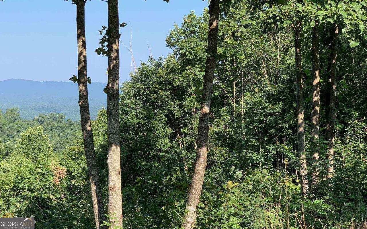 Lot 7 Golden Oak Estates Property Photo 12