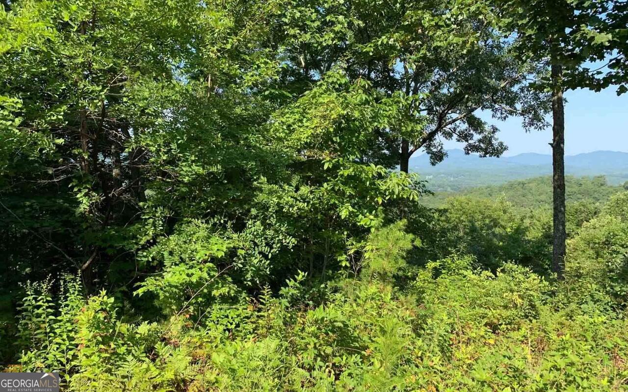 Lot 7 Golden Oak Estates Property Photo 14