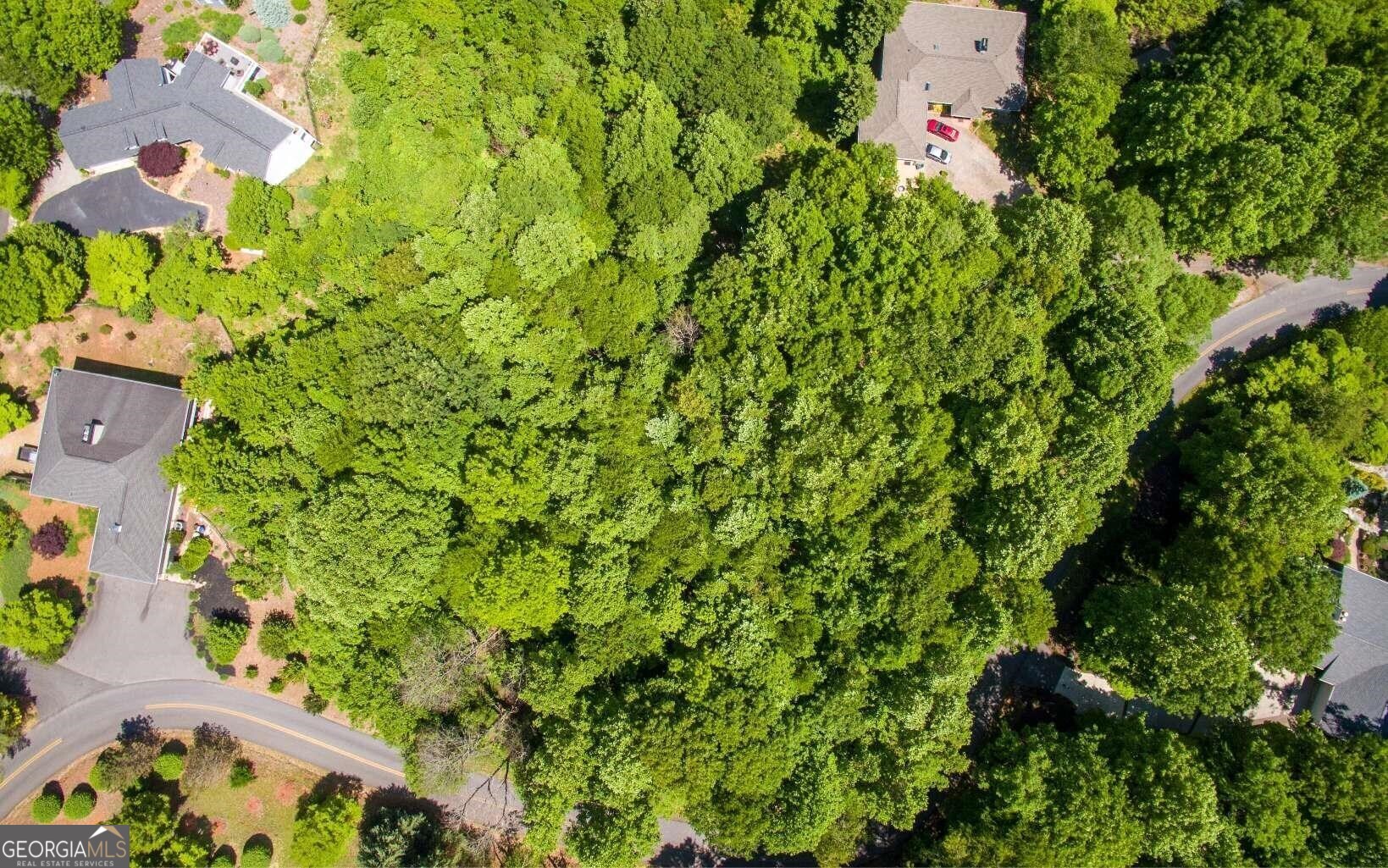 Lot 26 Lake Forest Estates Property Photo 4