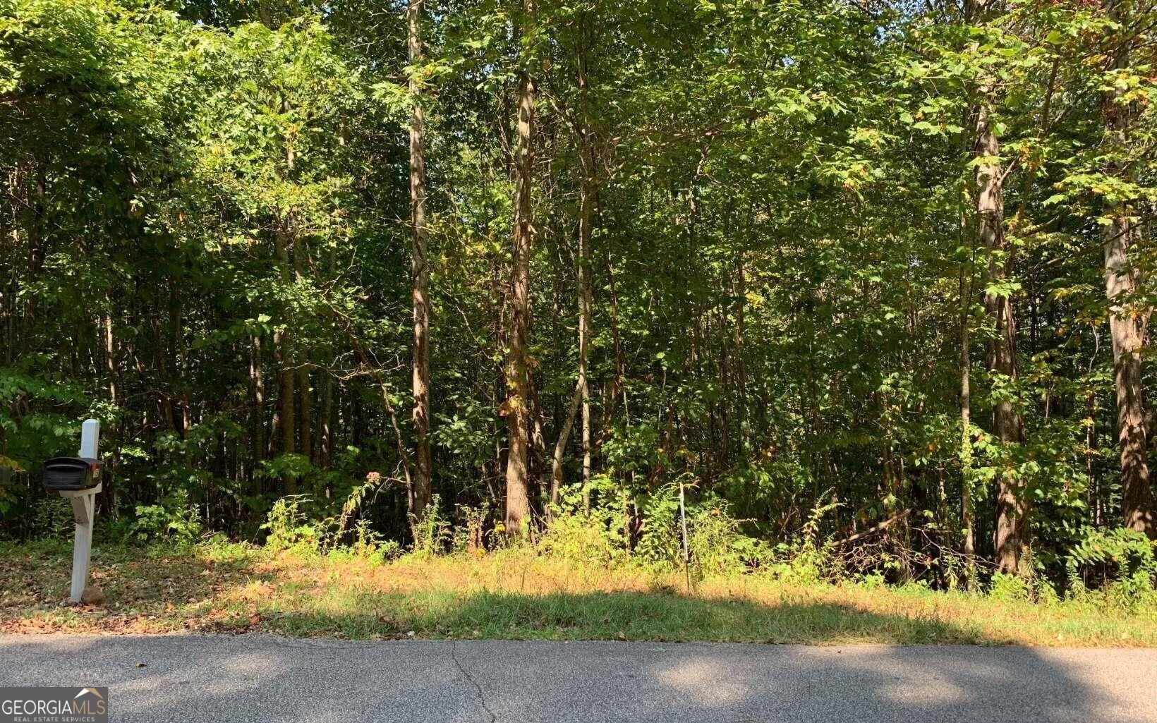 Lot 26 Lake Forest Estates Property Photo 7