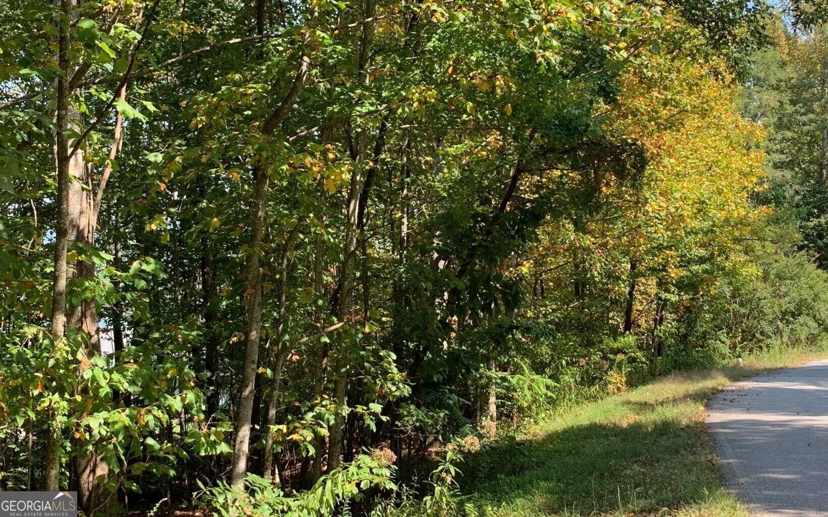 Lot 26 Lake Forest Estates Property Photo 11