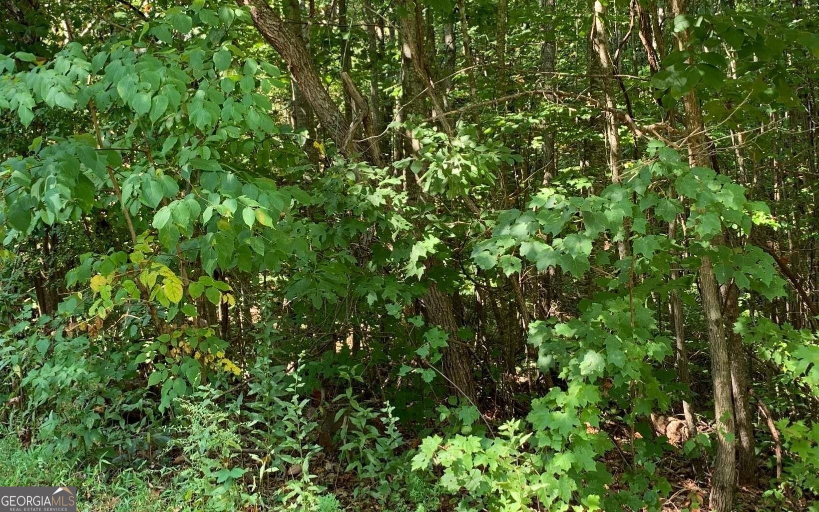 Lot 26 Lake Forest Estates Property Photo 12