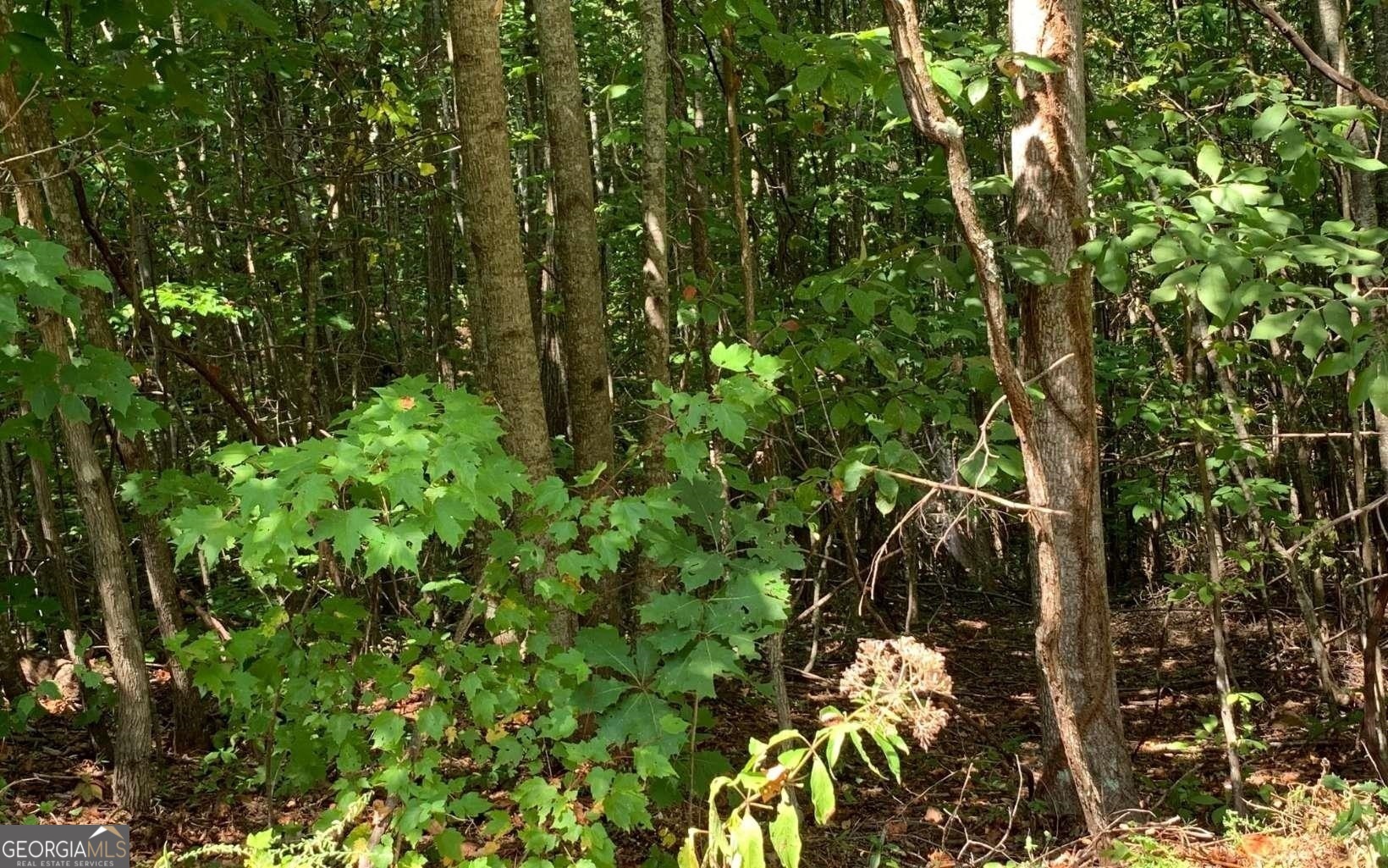 Lot 26 Lake Forest Estates Property Photo 13