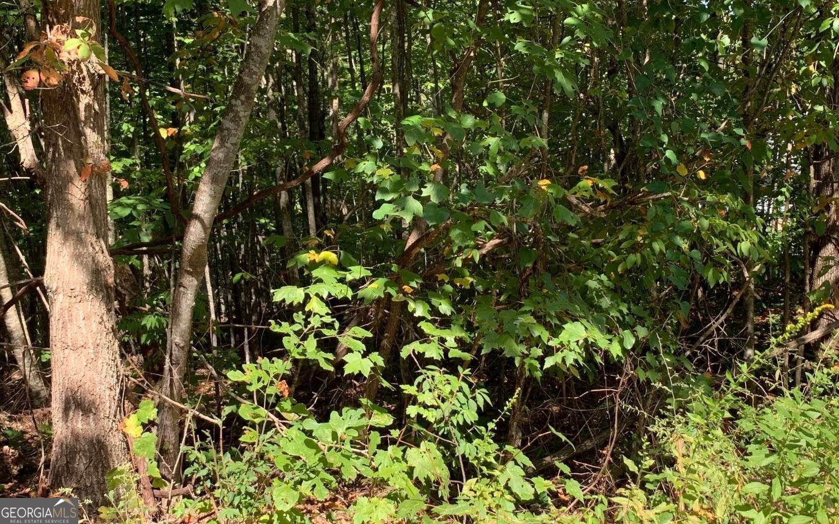 Lot 26 Lake Forest Estates Property Photo 14