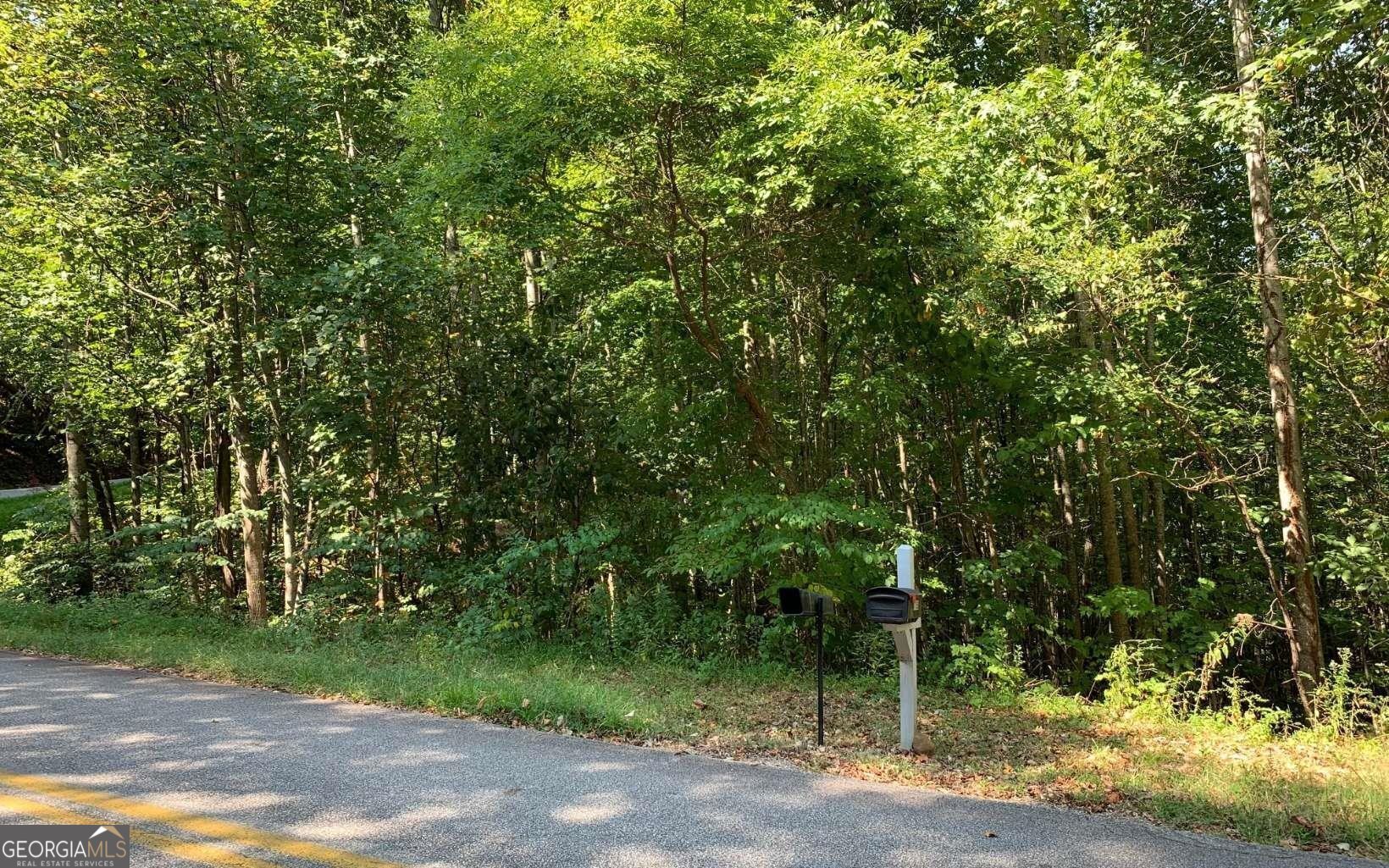 Lot 26 Lake Forest Estates Property Photo 16