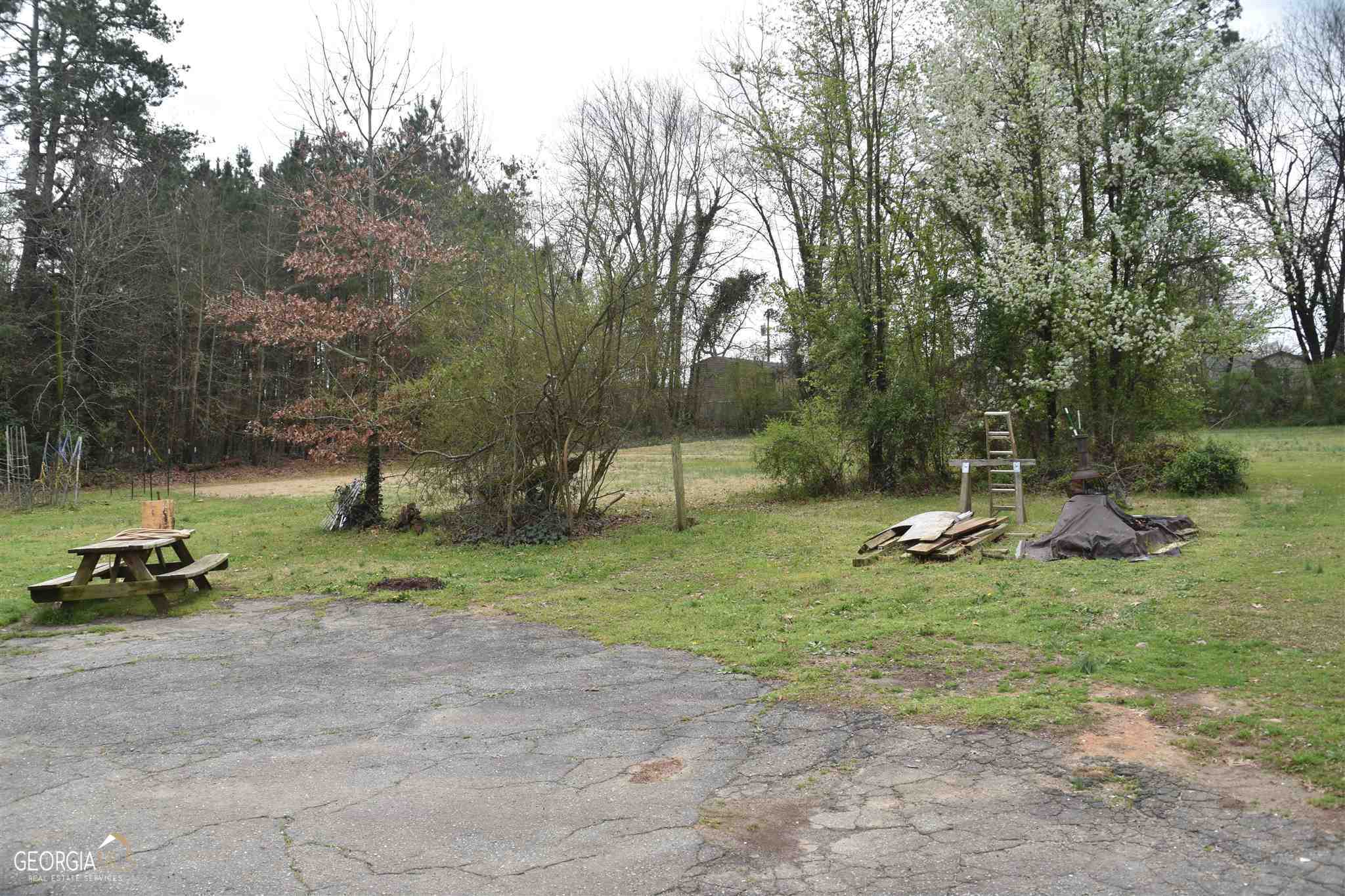 3814 Highway 17 Alt Property Photo 4
