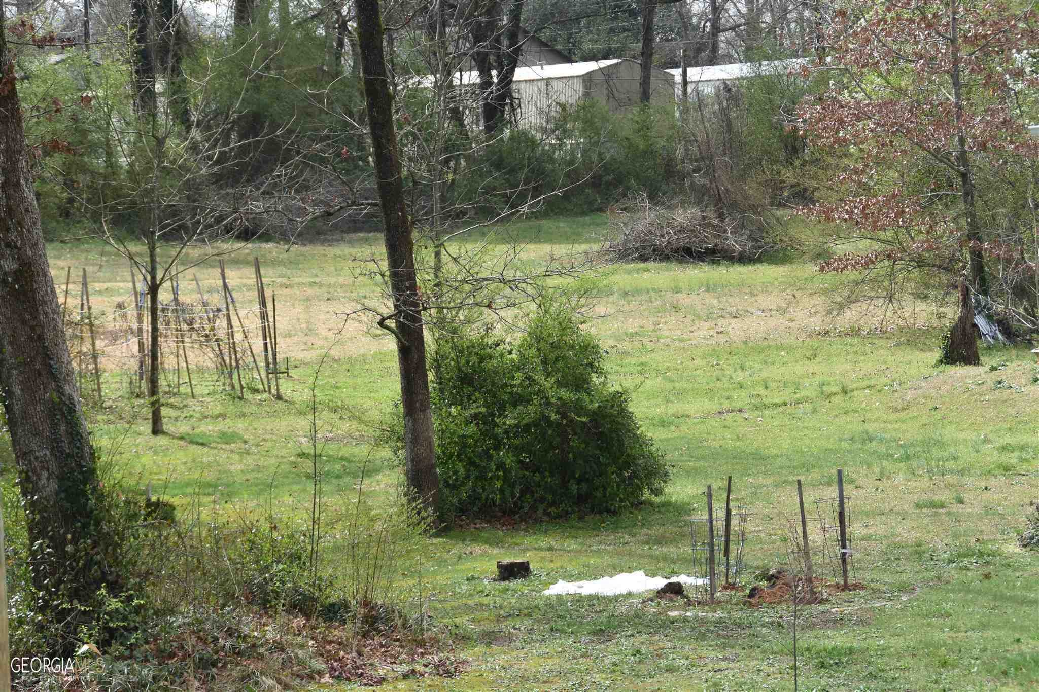 3814 Highway 17 Alt Property Photo 5