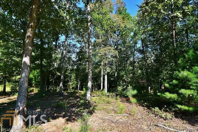4562b Fawn Path # 15 Property Photo 10
