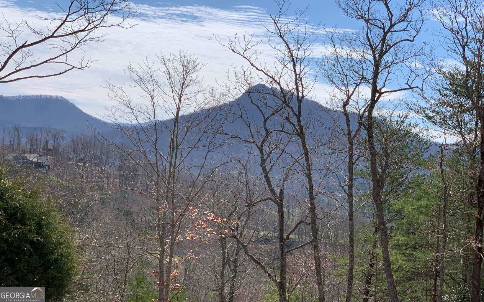 Lot 42 Dan Knob Property Photo 1
