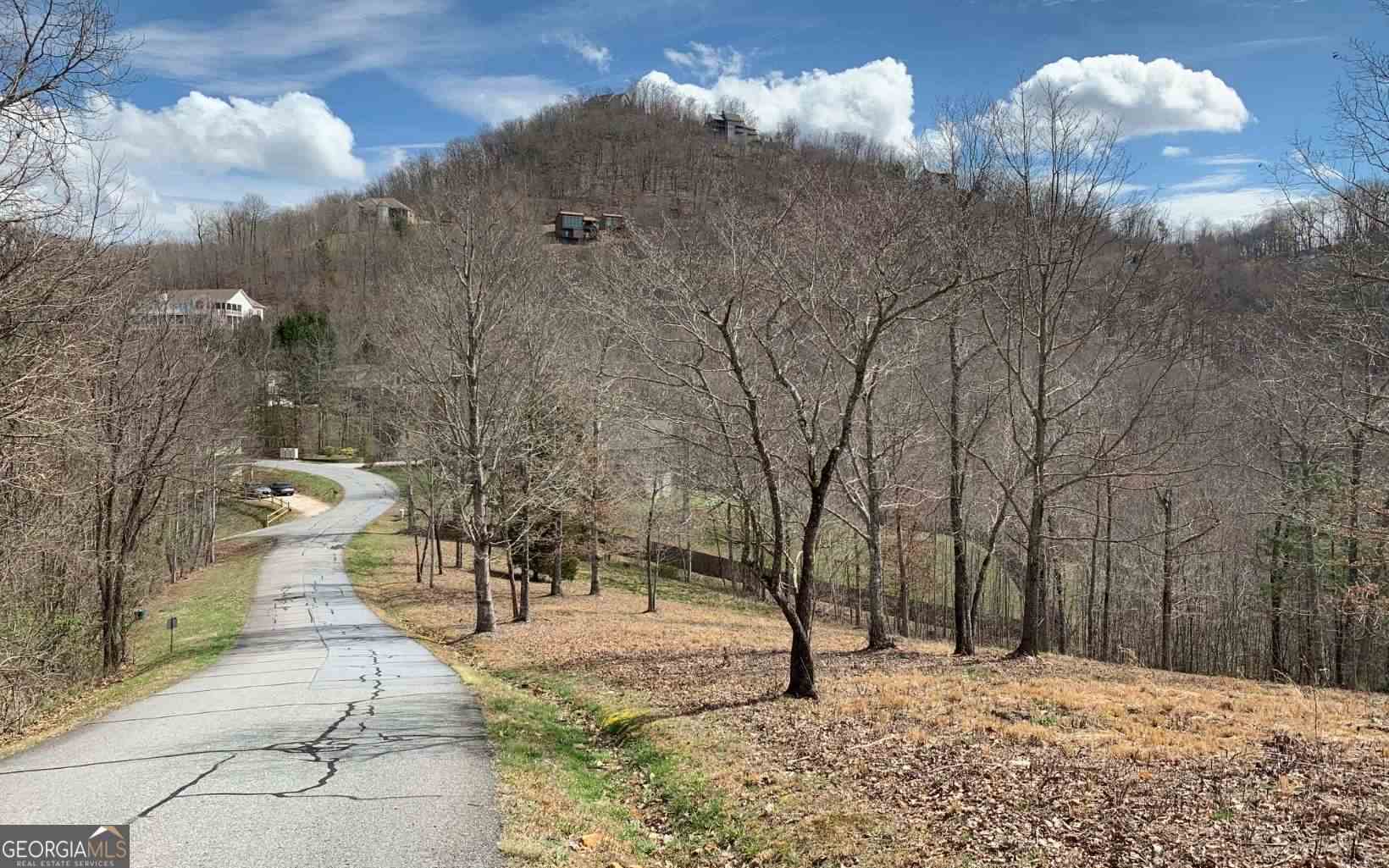 Lot 42 Dan Knob Property Photo 2
