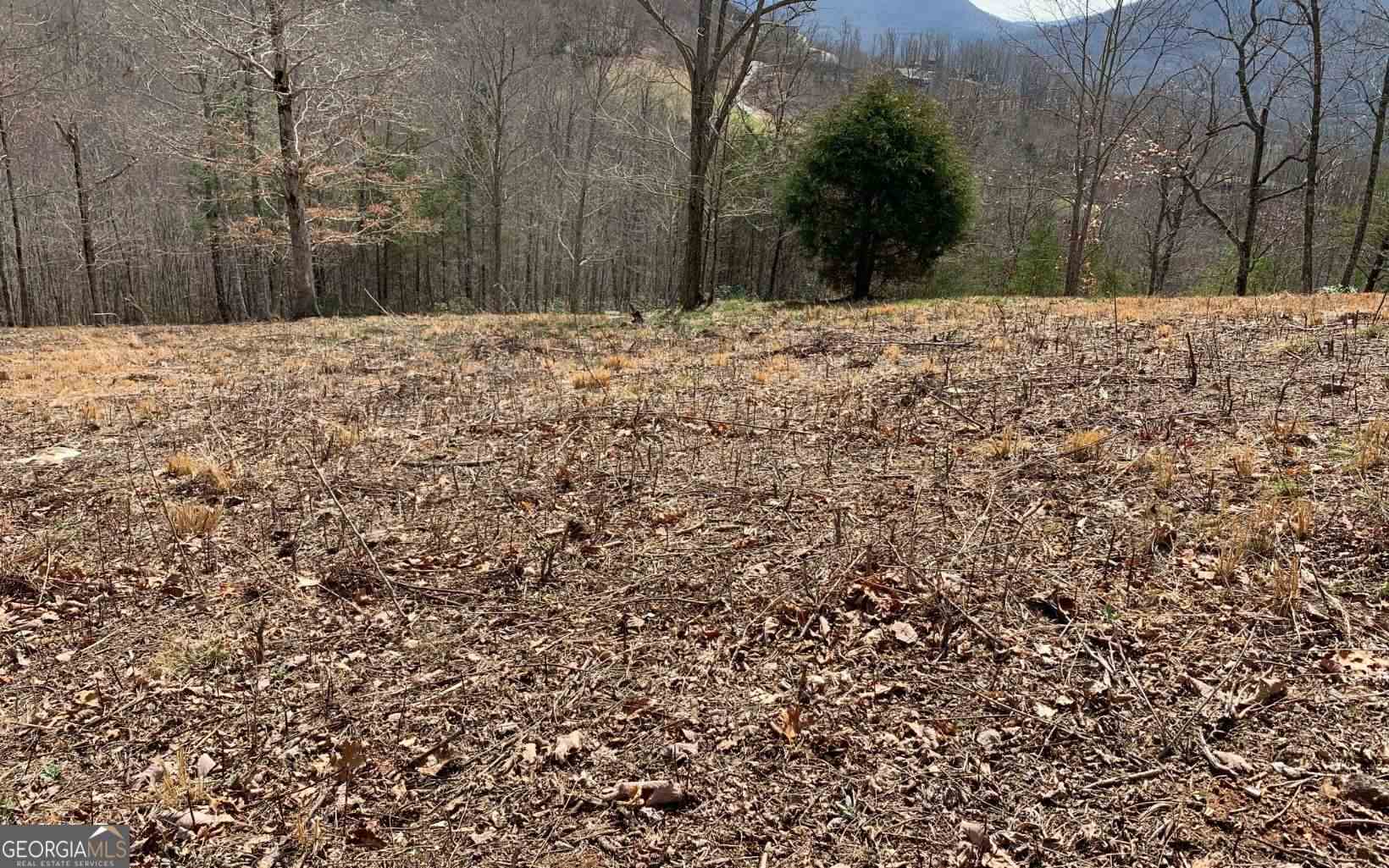 Lot 42 Dan Knob Property Photo 3