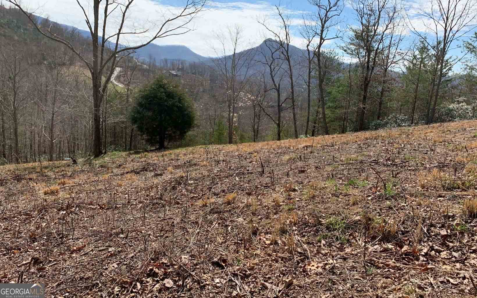 Lot 42 Dan Knob Property Photo 4