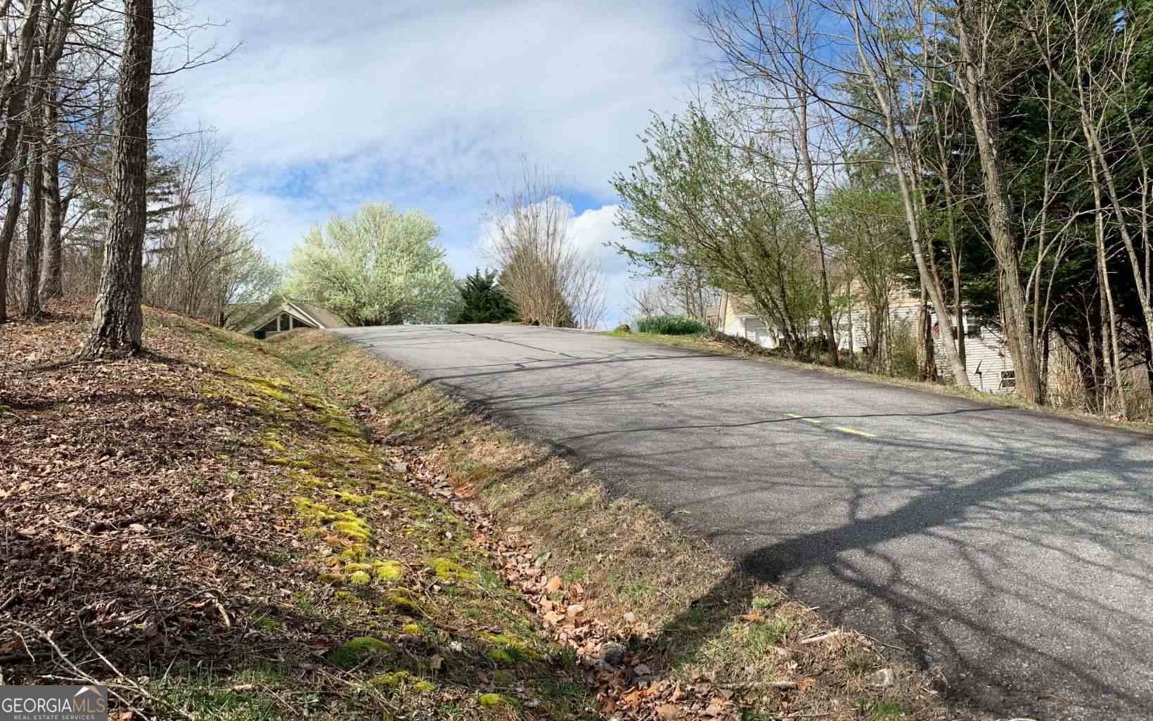 Lot 42 Dan Knob Property Photo 5