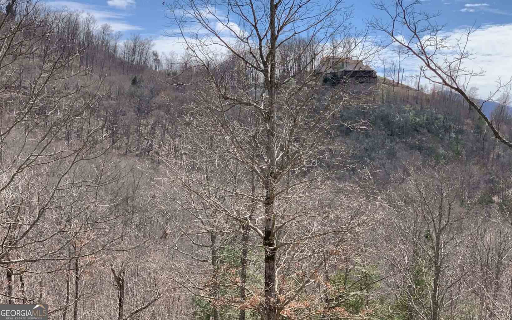 Lot 42 Dan Knob Property Photo 6