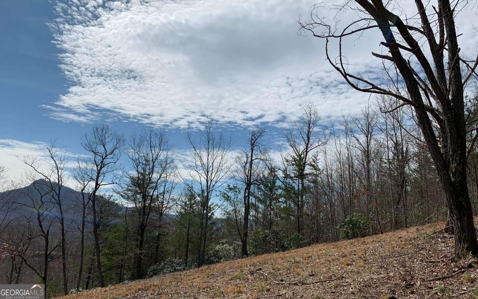 Lot 42 Dan Knob Property Photo 8