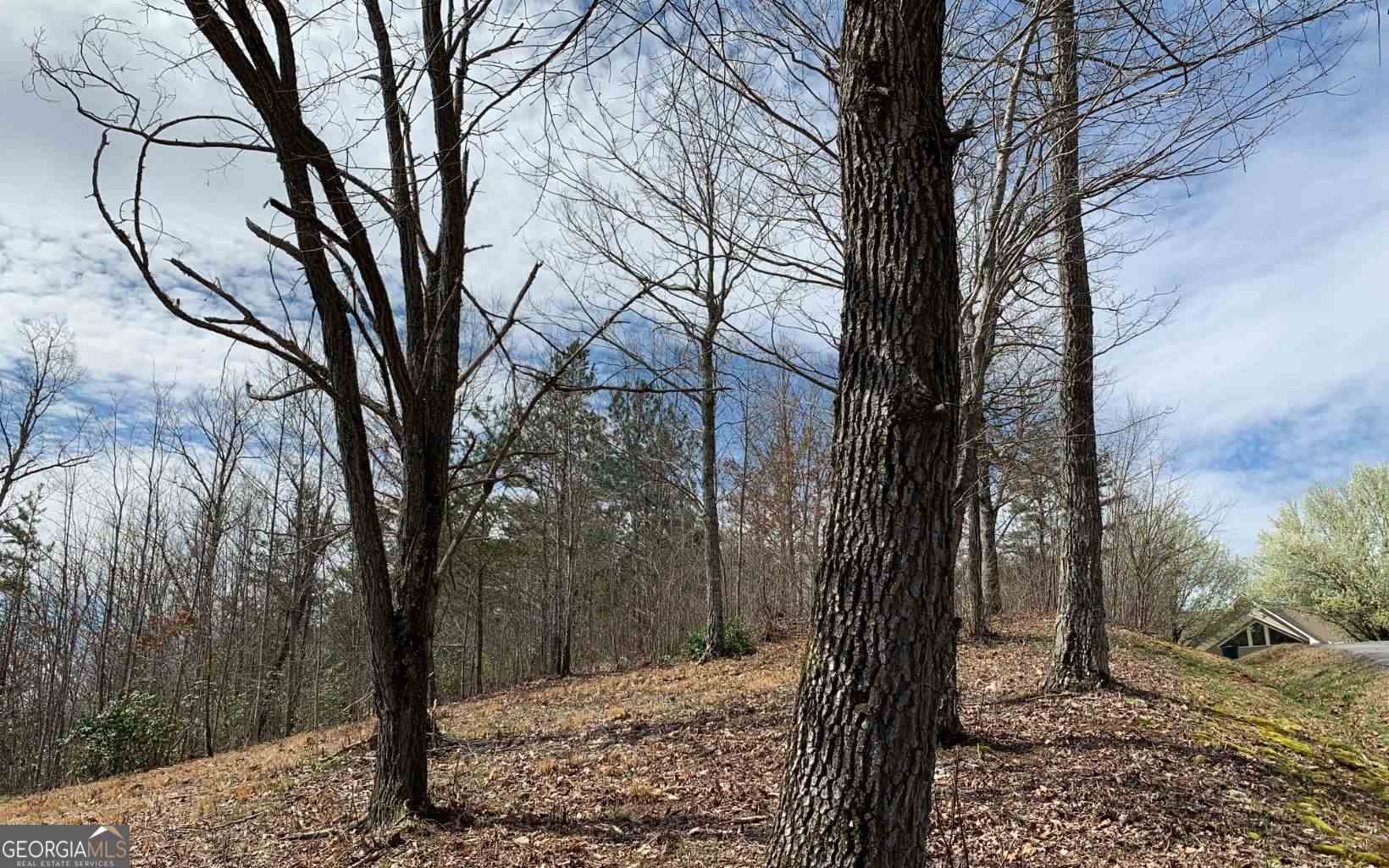Lot 42 Dan Knob Property Photo 9