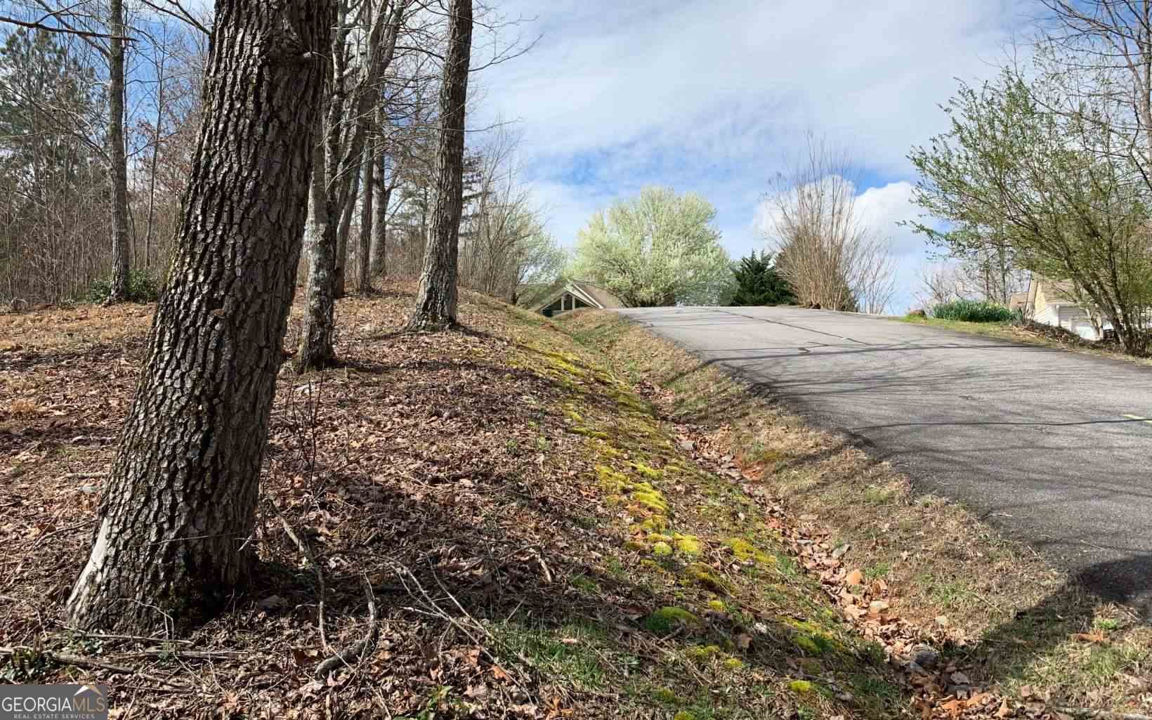 Lot 42 Dan Knob Property Photo 10