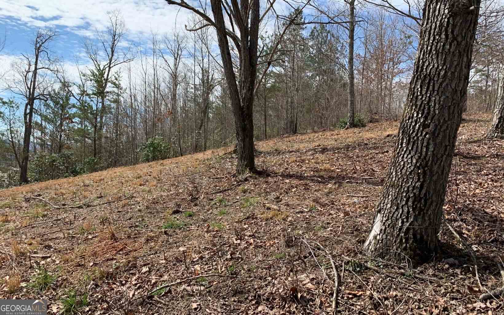 Lot 42 Dan Knob Property Photo 11