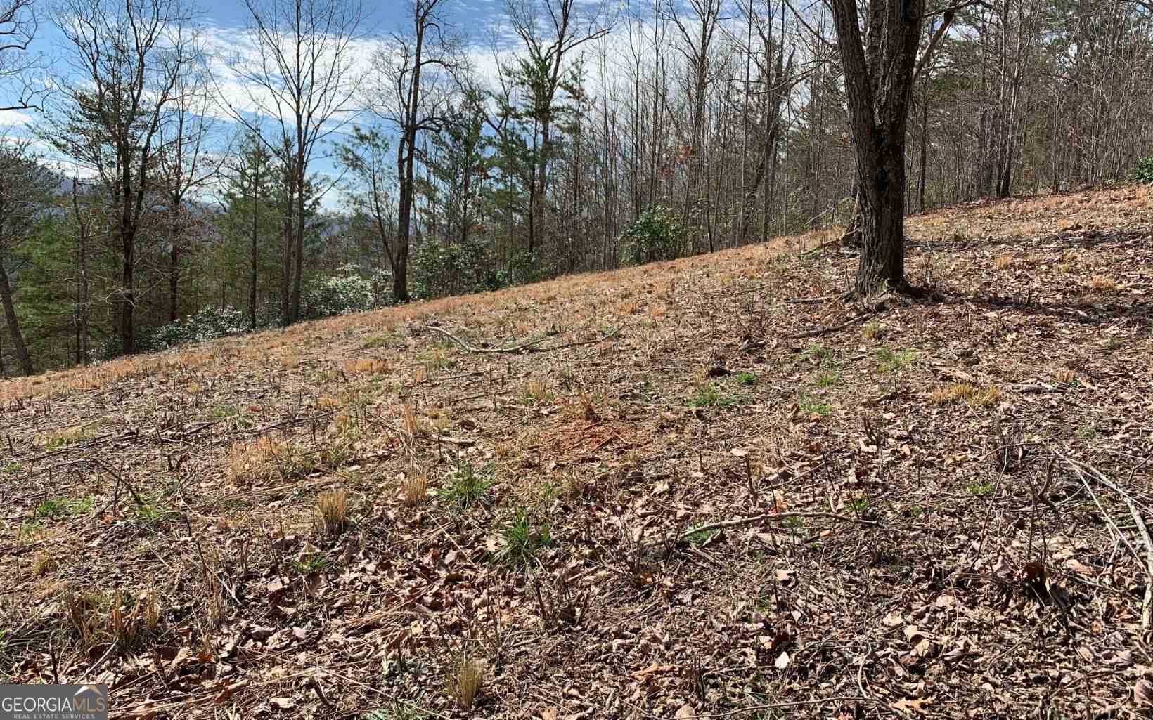 Lot 42 Dan Knob Property Photo 12
