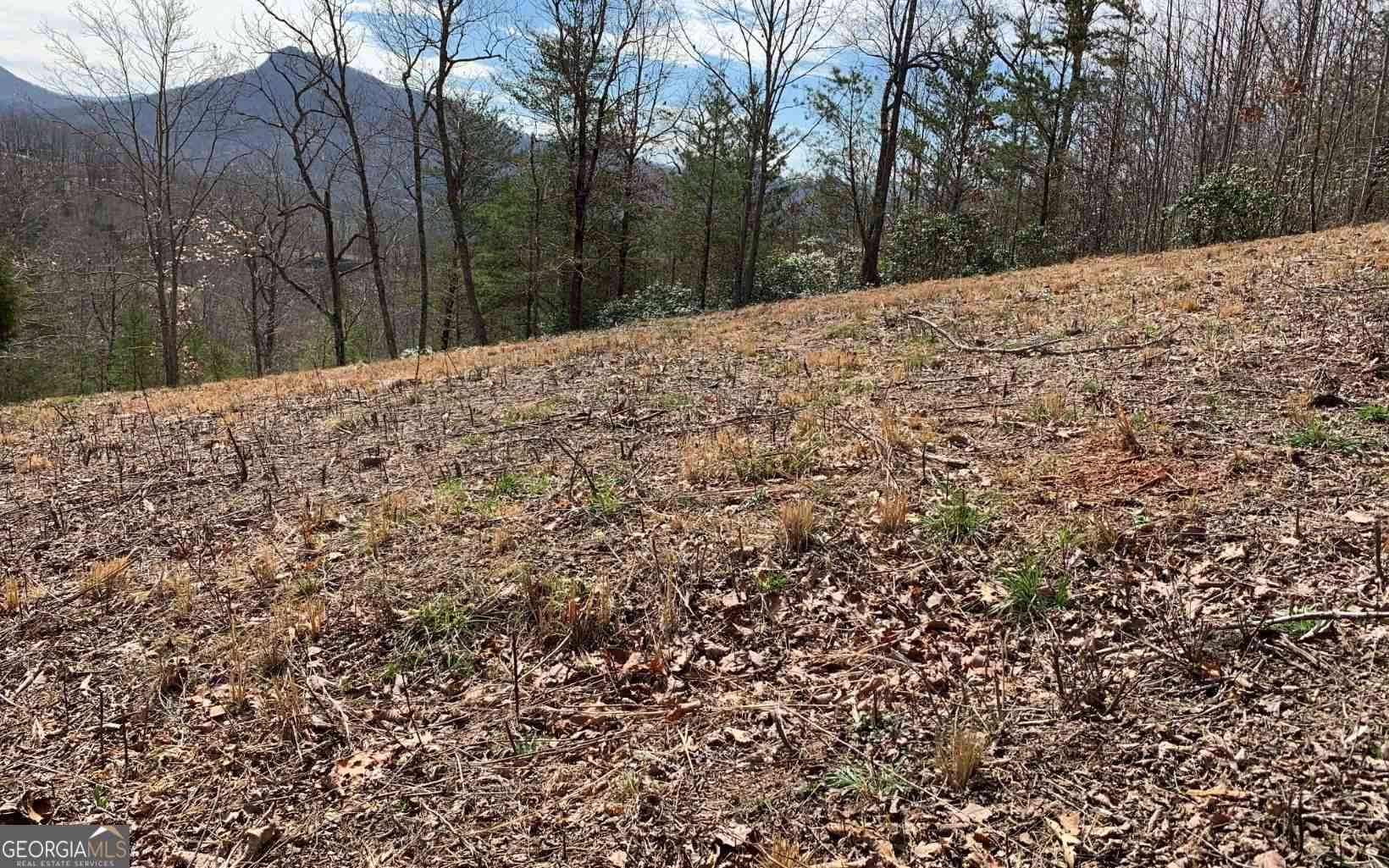 Lot 42 Dan Knob Property Photo 13