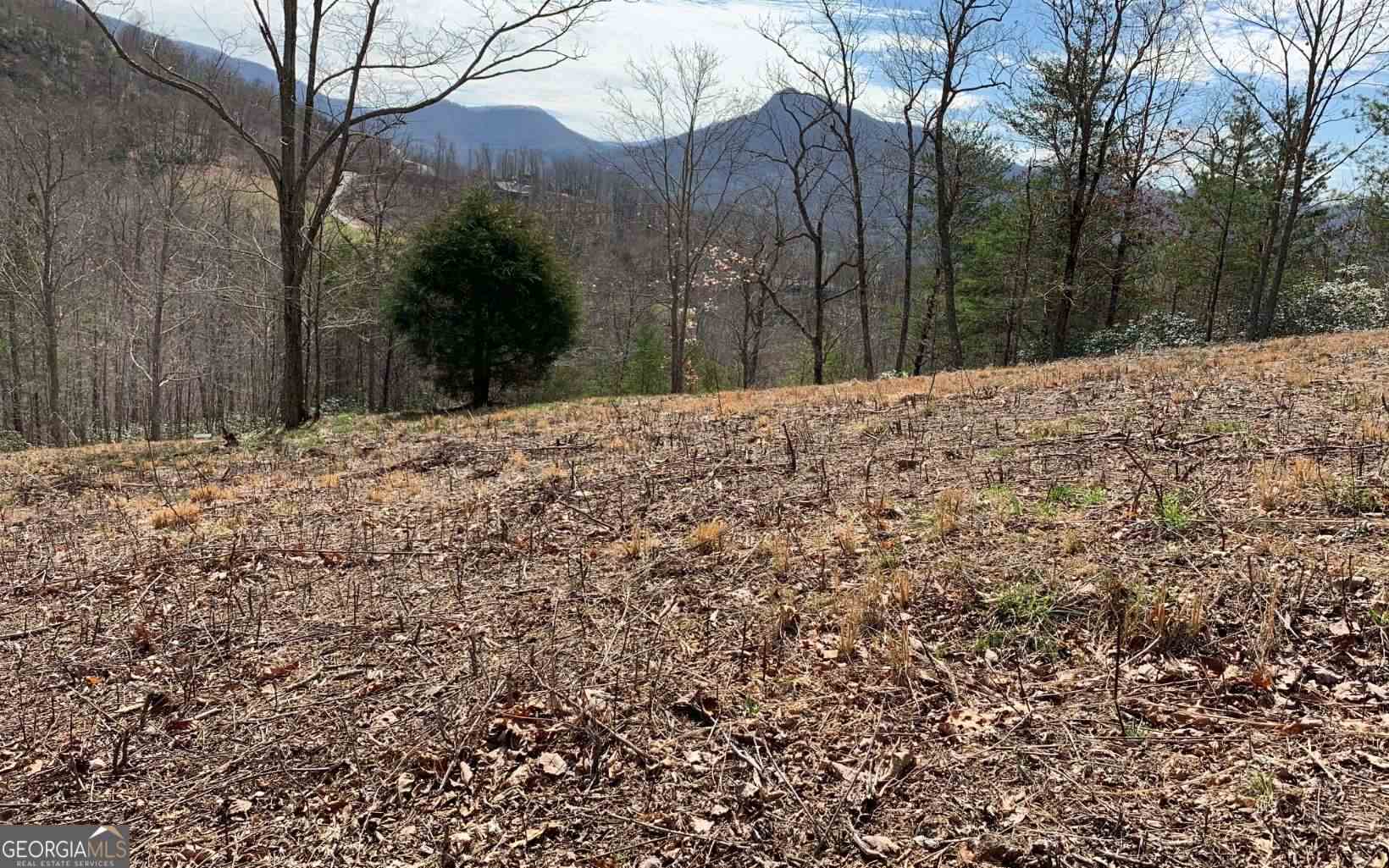 Lot 42 Dan Knob Property Photo 14
