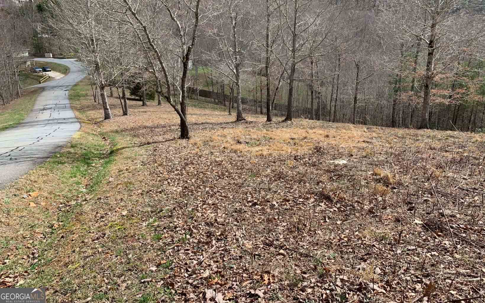Lot 42 Dan Knob Property Photo 15