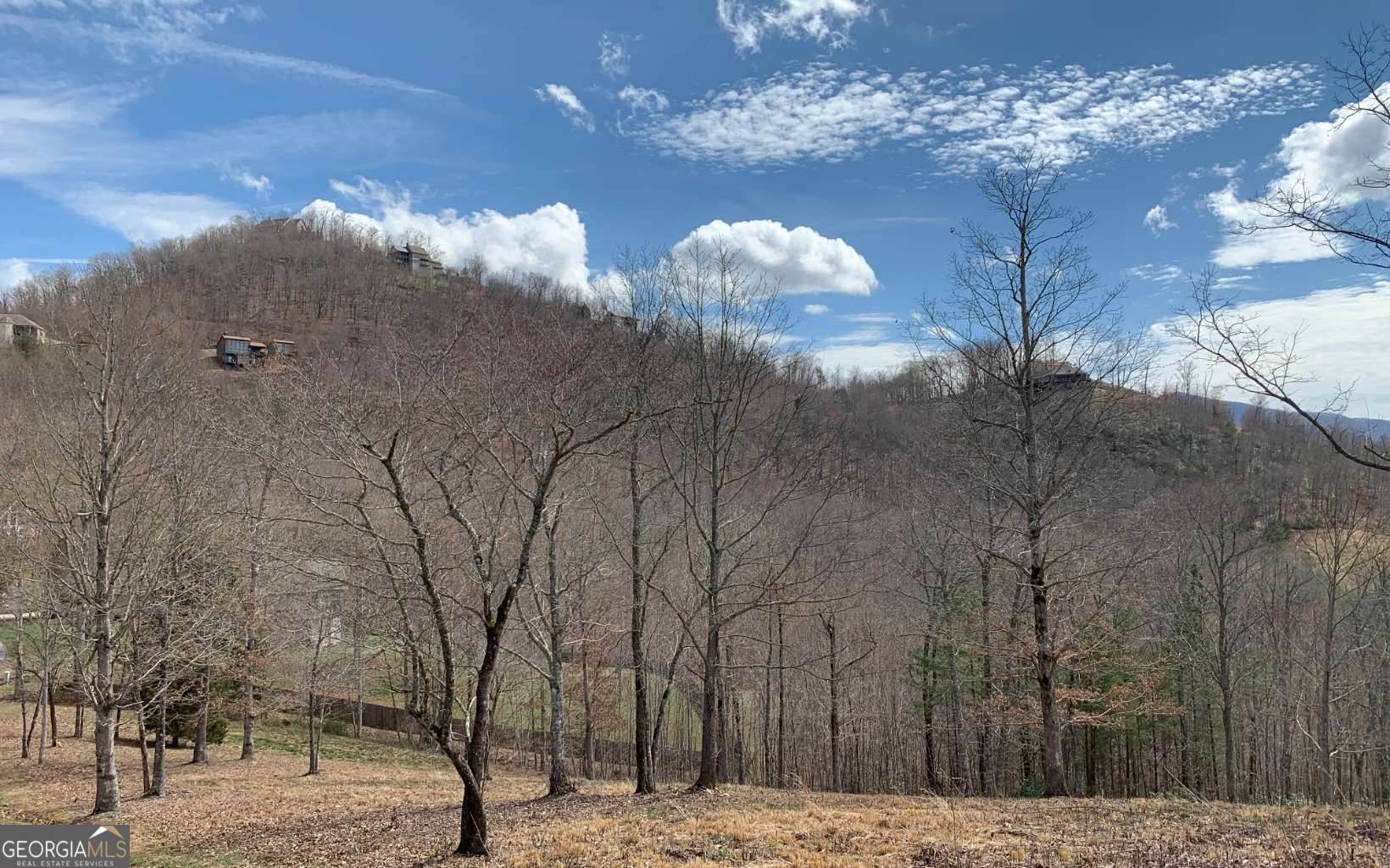 Lot 42 Dan Knob Property Photo 16