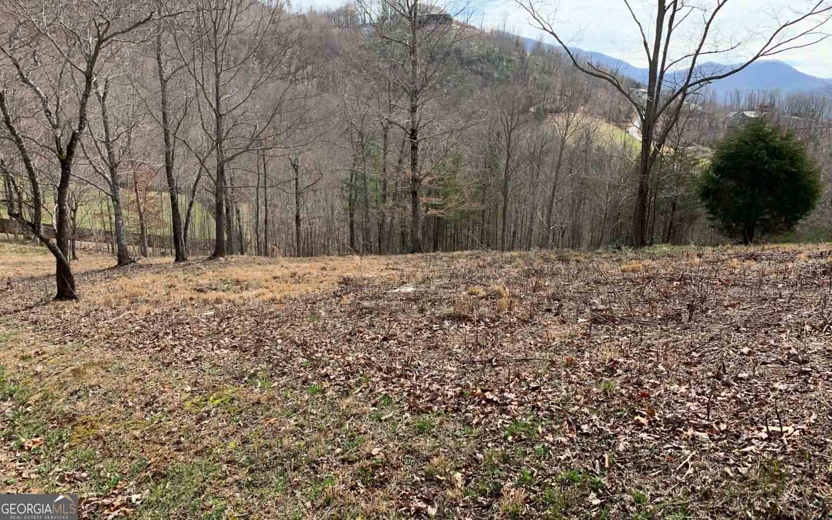 Lot 42 Dan Knob Property Photo 17