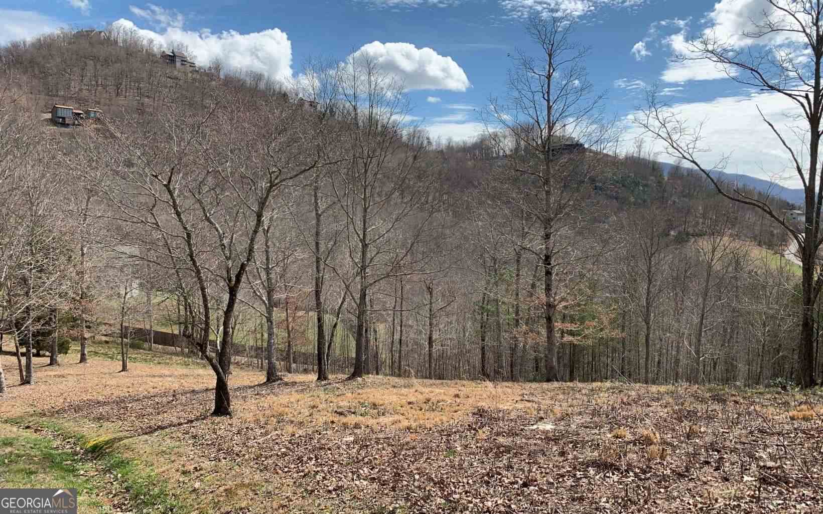Lot 42 Dan Knob Property Photo 18