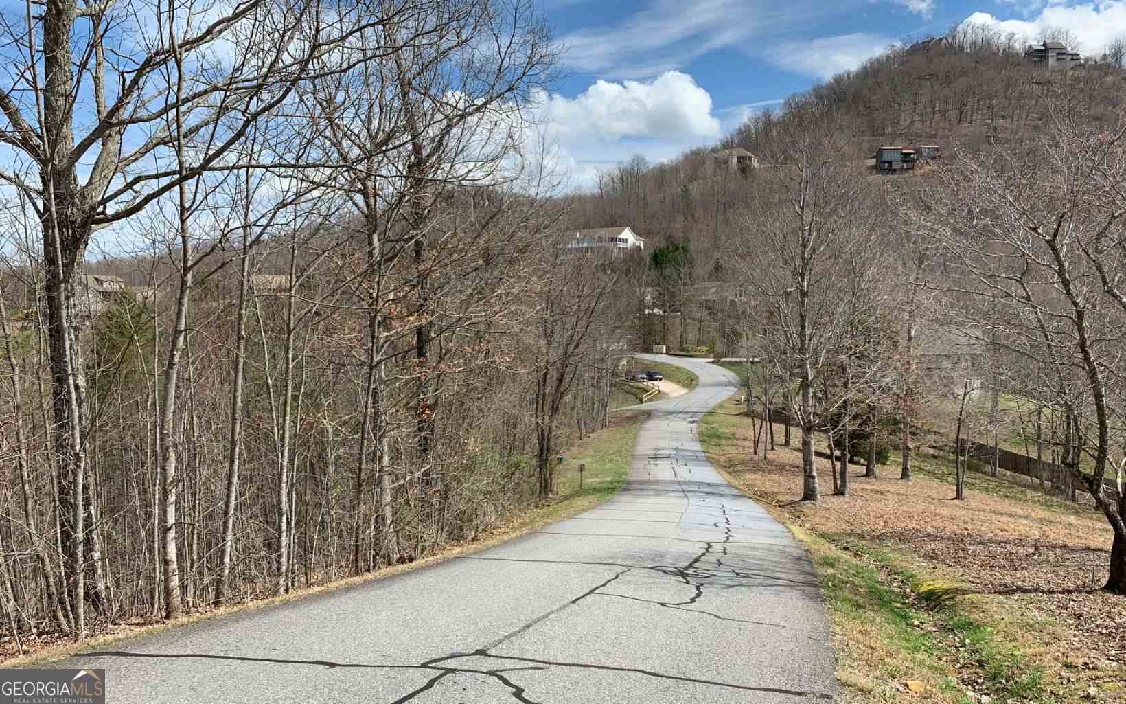 Lot 42 Dan Knob Property Photo 19
