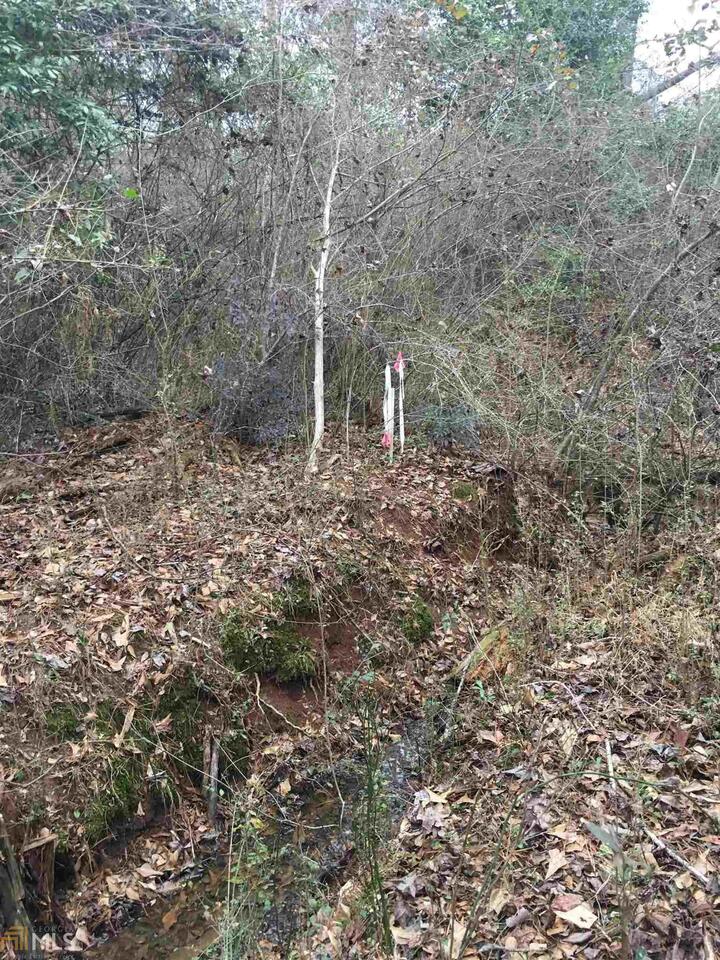 0 19th Avenue Sw Property Photo 8