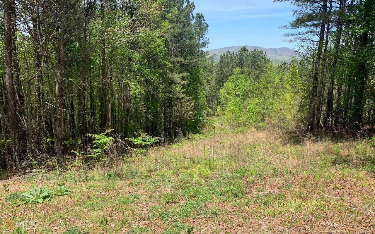 Lot 28 Loftis Mountain Property Photo 1