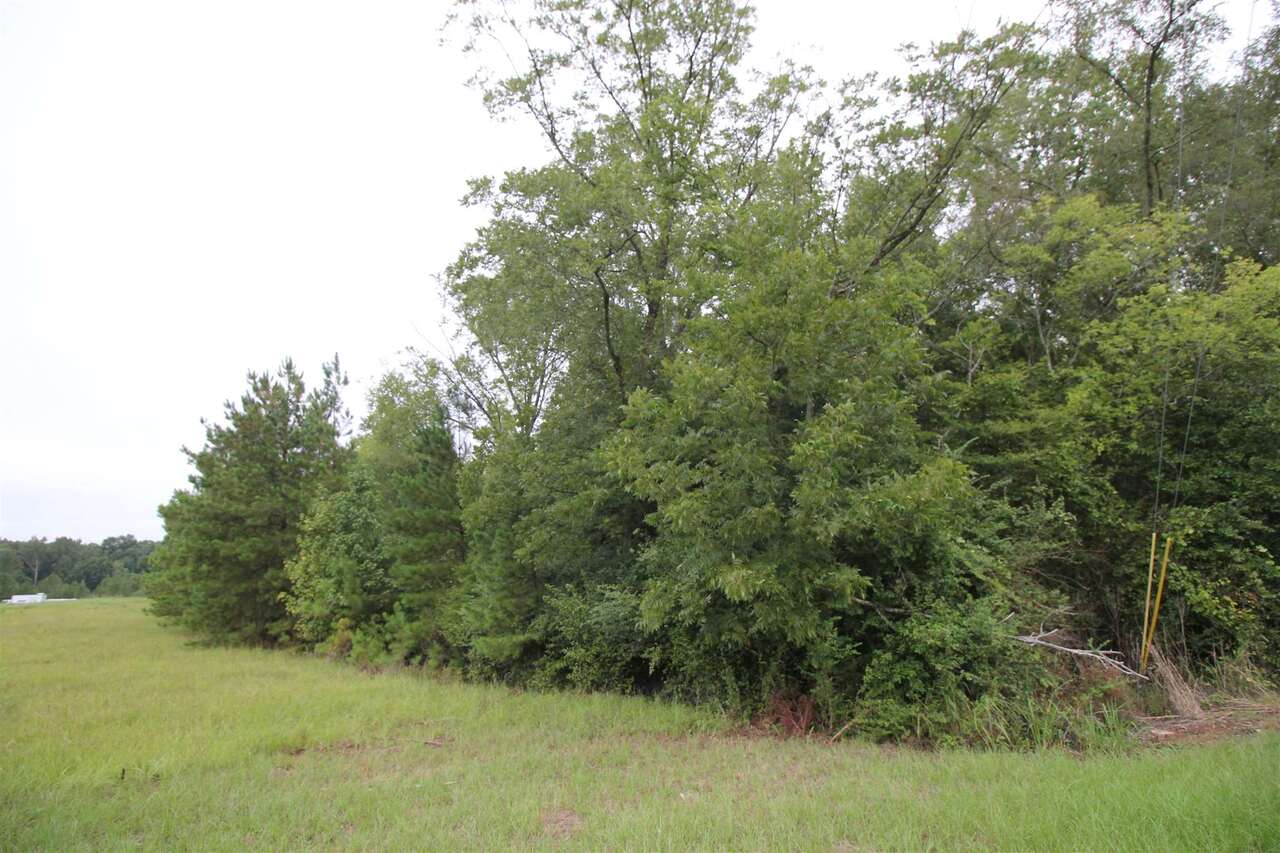 677 Dunlap Road Ne Property Photo 3