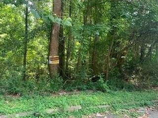 0 Willow Creek Road # 6 Property Photo 12