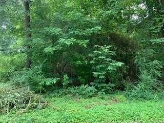 0 Willow Creek Road # 6 Property Photo 14