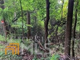 0 Willow Creek Road # 6 Property Photo 21